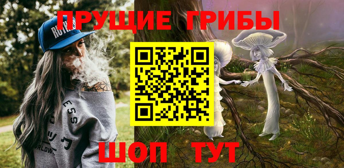 Псилоцибиновые грибы мицелий Нарьян-Мар