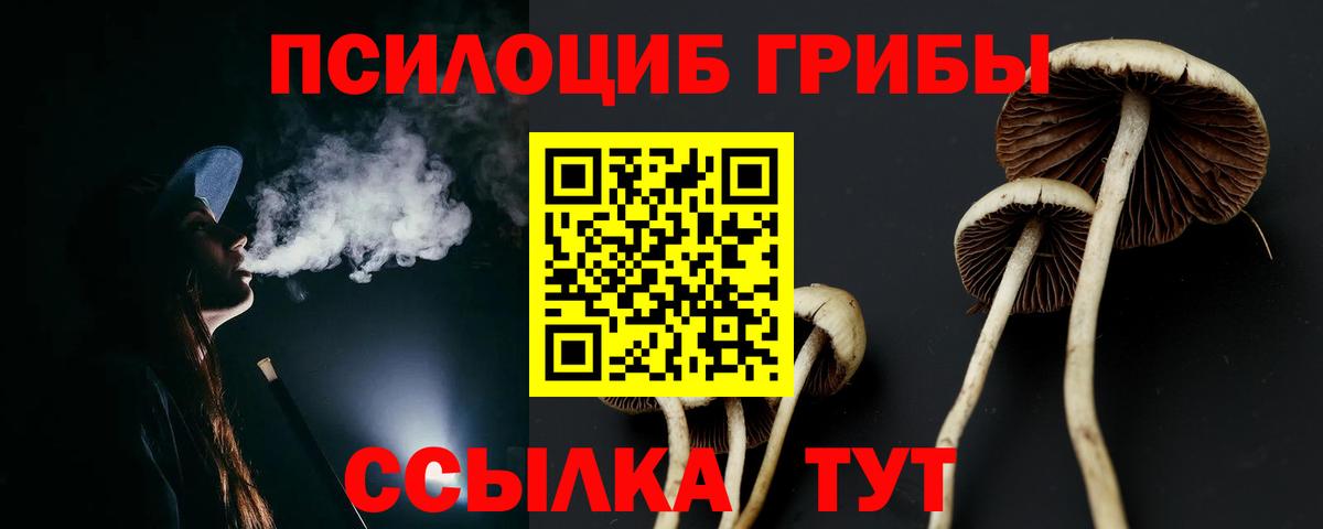 Нарьян-Мар  Псилоцибиновые грибы Psilocybine cubensis  Вход с VPN  Псилоцибиновые грибы ЛСД 